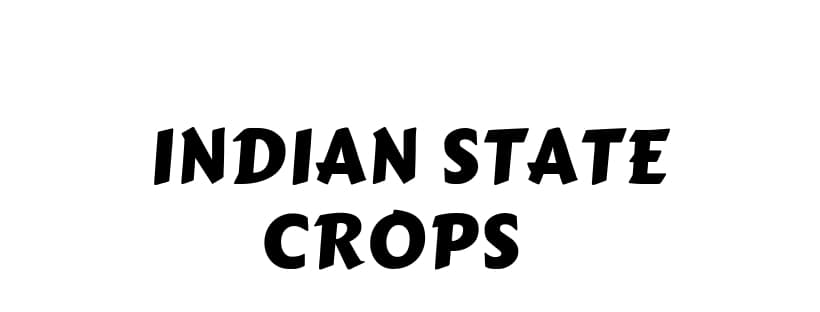 Indian State Crops Revolution