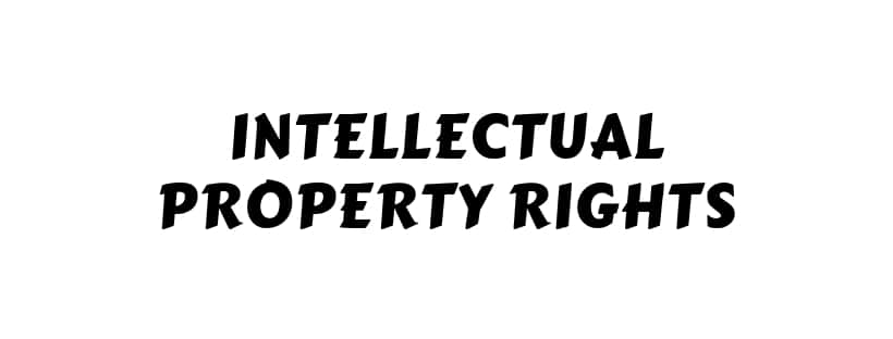 intellectual property rights