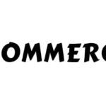 Top 10 eCommerce companies world