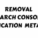Remove Verification Meta Tags Header