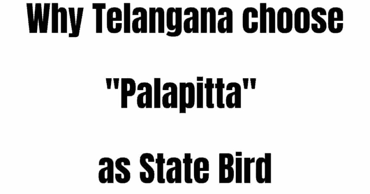 Telangana State Bird Palapitta