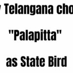 Telangana State Bird Palapitta