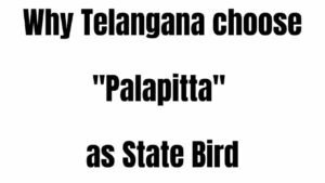 Telangana State Bird Palapitta