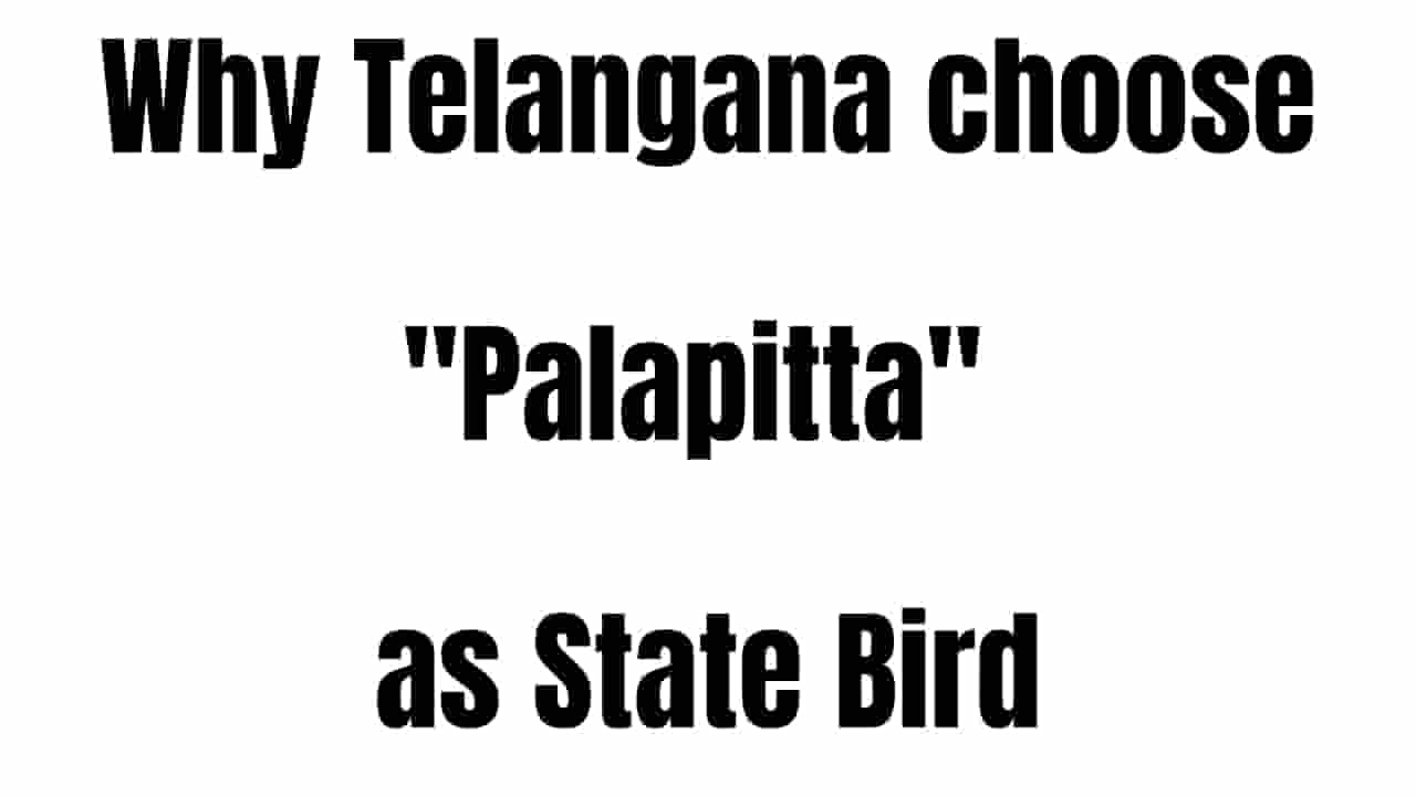 Telangana State Bird Palapitta | FDAYTALK