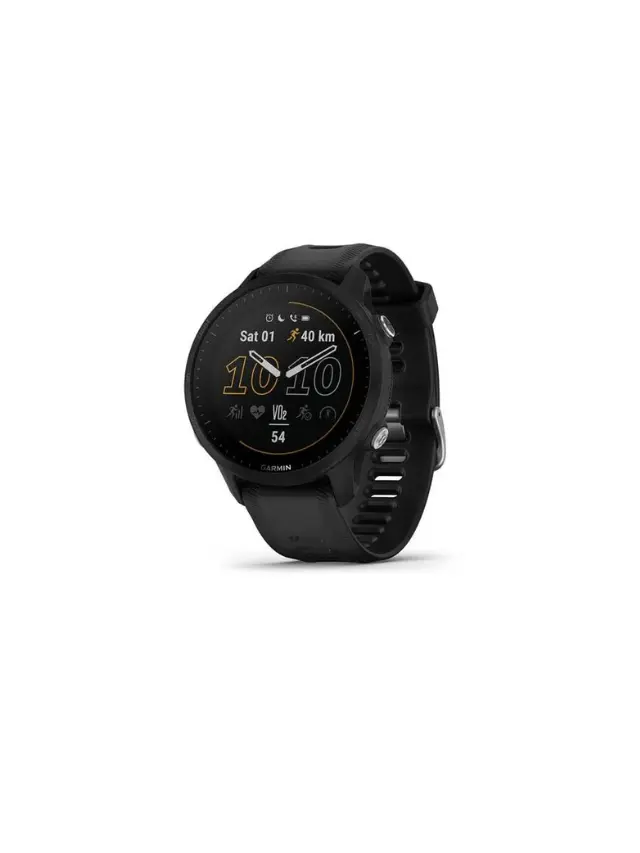 Garmin (2)