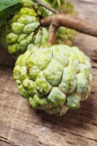 SugarApple