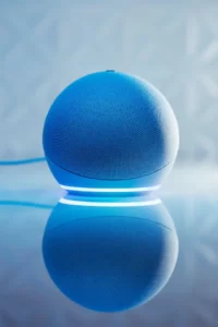 echo dot-9