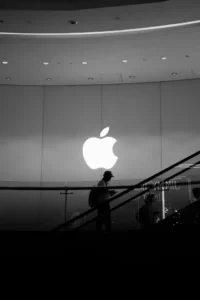 apple store-4