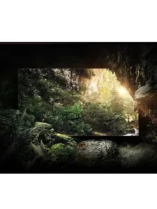 Samsung Micro LED TV (8)