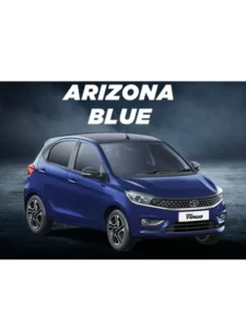 Tata_Motors (10)
