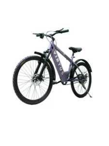 electric_bicycles (1)