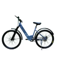 electric_bicycles (2)