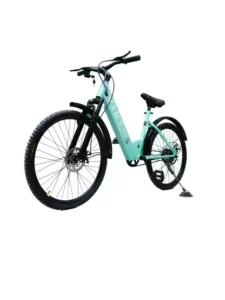 electric_bicycles (5)