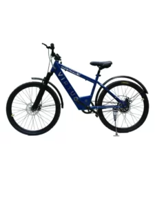 electric_bicycles (6)