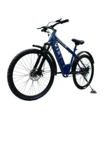 electric_bicycles (8)