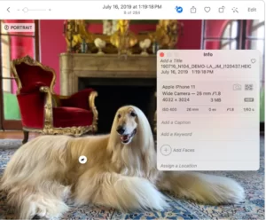 How to use Visual Look Up on iPhone-2