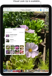 How to use Visual Look Up on iPhone-4