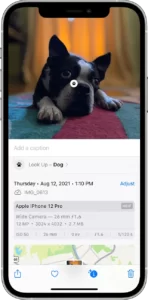How to use Visual Look Up on iPhone-7
