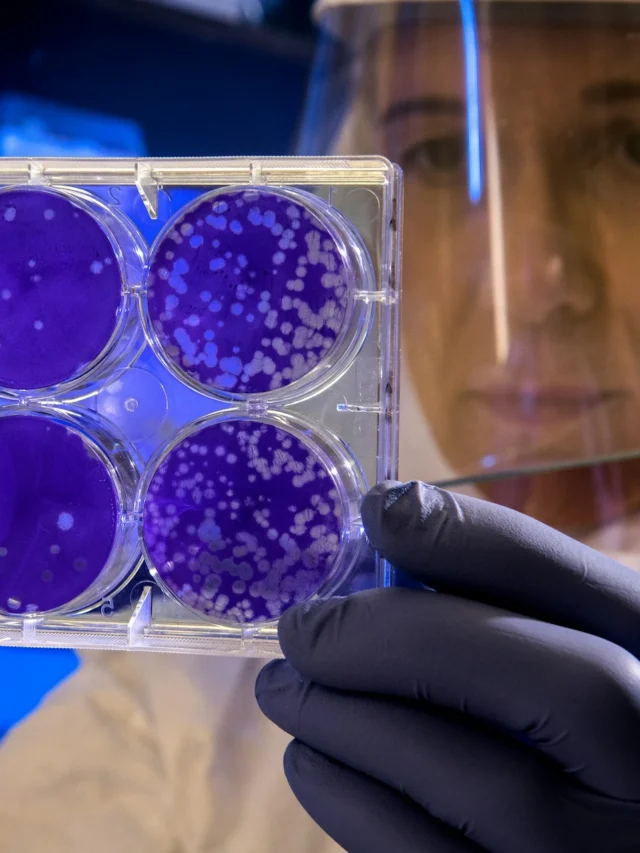 Breakthrough in DNA Repair and Cancer Prevention: RecA’s Secret