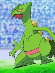 Mega-Sceptile-Raid-guide-3