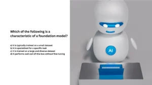 Which of the following is a characteristic of a foundation model