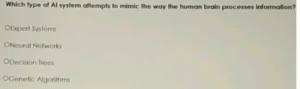 Which type of Al system attempts to mimic the way the human brain processes information