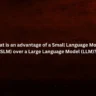 What is an advantage of a Small Language Model (SLM) over a Large Language Model (LLM)?