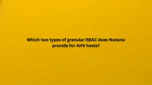 Which two types of granular RBAC does Nutanix provide for AHV hosts