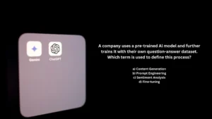 A company uses a pre-trained Al model and further trains it with their own question-answer dataset