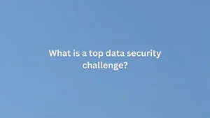What is a top data security challenge