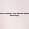 Which of the following is a key feature of Microsoft’s AI technology?