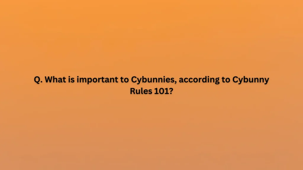 What is important to Cybunnies, according to Cybunny Rules 101?