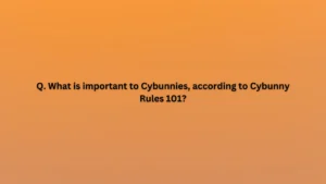 What is important to Cybunnies, according to Cybunny Rules 101?