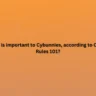 What is important to Cybunnies, according to Cybunny Rules 101?