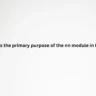 What is the primary purpose of the nn module in PyTorch?