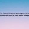 This model is a slight variation of the microkernel structure, its communication is carried out by passing messages.