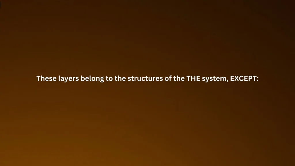 These layers belong to the structures of the THE system, EXCEPT