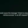 What could cause the message "Client is unauthorized to retrieve access" in an API request?