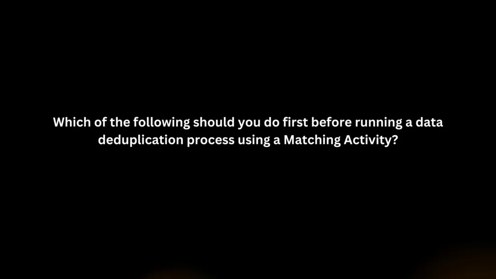 Which of the following should you do first before running a data deduplication process using a Matching Activity?