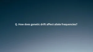 How does genetic drift affect allele frequencies