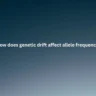 How does genetic drift affect allele frequencies