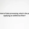 In the context of data processing, what is the purpose of applying an additional filter