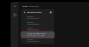 Gemini Exp 1206