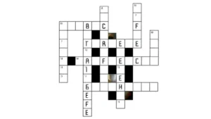 New York Times Crossword Clue Answers