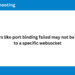 How to Resolve WebSocket Port Binding and DSC Errors