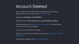 Roblox Account Deleted Over Username or Trading? Here's What You Can Do