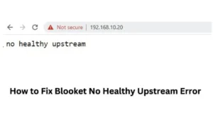 How to Fix Blooket No Healthy Upstream Error