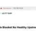 How to Fix Blooket No Healthy Upstream Error