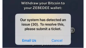 How to Fix Error Code 30 in Bitcoin Miner (ZEBEDEE Withdrawal Issue)