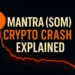 Mantra ($OM) Crypto Crash Explained: What Went Wrong?